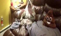 吃瓜侠看娱乐,吃瓜侠带你领略娱乐圈风云变幻