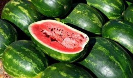 娱乐吃瓜素材图片大全,吃瓜素材图片大全大汇总