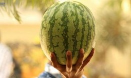 最新娱乐吃瓜,明星隐私曝光，幕后黑手浮出水面