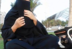 娱乐吃瓜君七七原视频